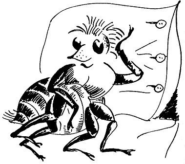 Не просто букашки - i_051.jpg