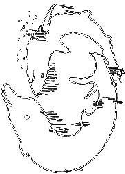 И у крокодила есть друзья - i_016.png