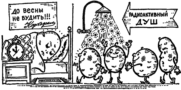 Возвращение чародея - i_034.png