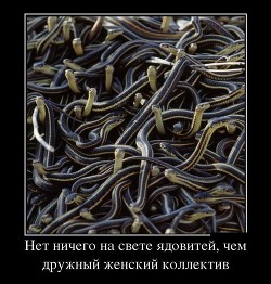 Книга Телохранитель ее величества: Точка невозврата (СИ)