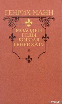 Книга Молодые годы короля Генриха IV