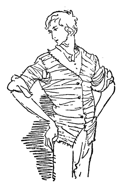 Собрание сочинений. Т.13. - i_012.png