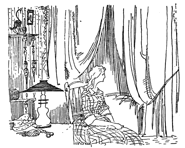 Собрание сочинений. Т.13. - i_022.png