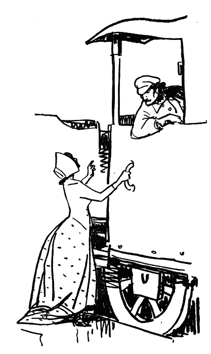 Собрание сочинений. Т.13. - i_034.png