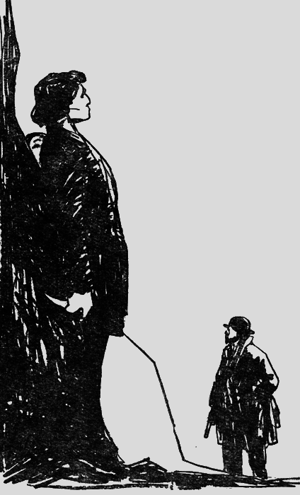 Собрание сочинений. Т.13. - i_038.png