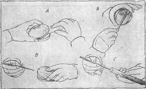 Мир микробов - i_024.jpg