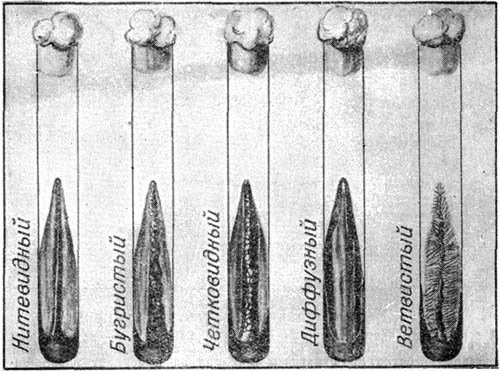 Мир микробов - i_025.jpg