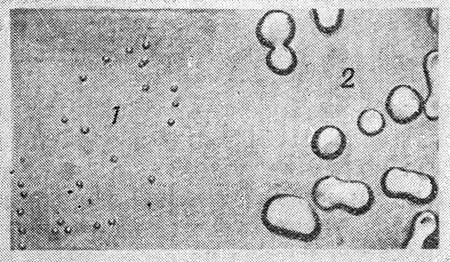 Мир микробов - i_047.jpg