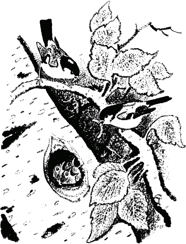 Говорящий грач (сборник рассказов) - i_004.png