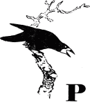 Говорящий грач (сборник рассказов) - i_007.png