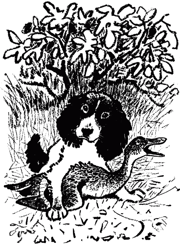 Говорящий грач (сборник рассказов) - i_026.png