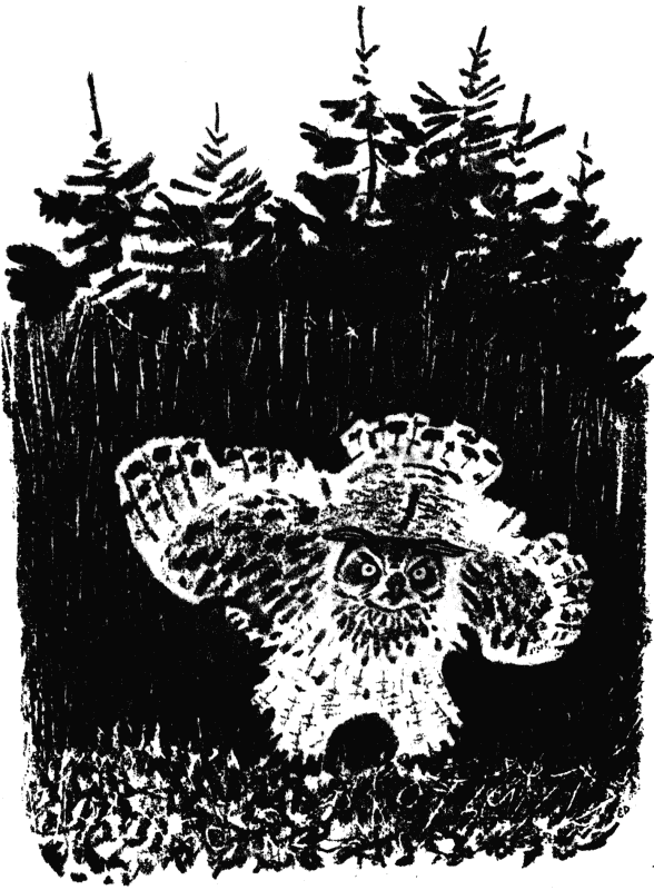 Говорящий грач (сборник рассказов) - i_034.png