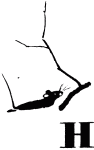 Говорящий грач (сборник рассказов) - i_040.png
