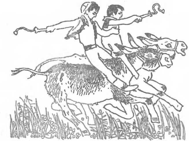 Скворец №17 (рассказы) - i_014.jpg