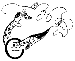 Повесть о славных делах Волли Крууса и его верных друзей - i_004.png
