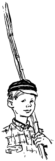 Повесть о славных делах Волли Крууса и его верных друзей - i_005.png