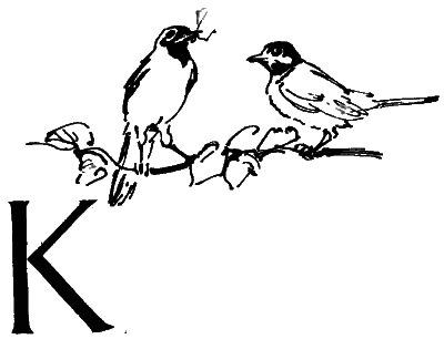 Повесть о славных делах Волли Крууса и его верных друзей - i_052.png