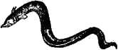 На маленьком острове - i_023.png
