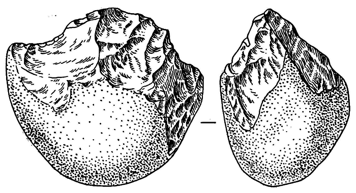 История одной случайности, или Происхождение человека - i_021.png