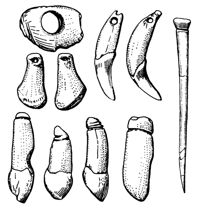 История одной случайности, или Происхождение человека - i_035.png