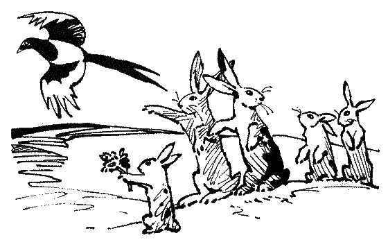 Три сказки - k_24pr.png