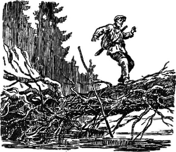 Хмурый Вангур - img_8.png