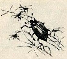 Птица-синица - i_006.jpg