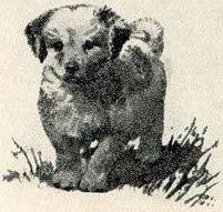 Птица-синица - i_008.jpg