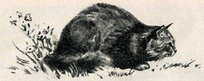 Птица-синица - i_017.jpg