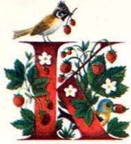 Семь разноцветных сказок - i_006.jpg