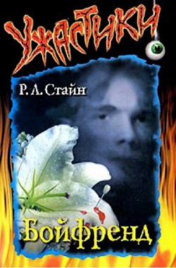 Книга Бойфренд