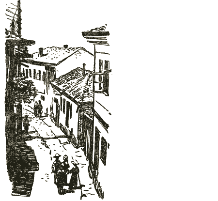 Толя-Трилли - img23.png