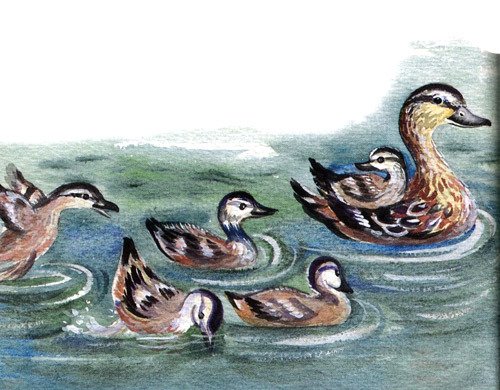 Засыпайка в рыбацкой деревне - i_032.jpg