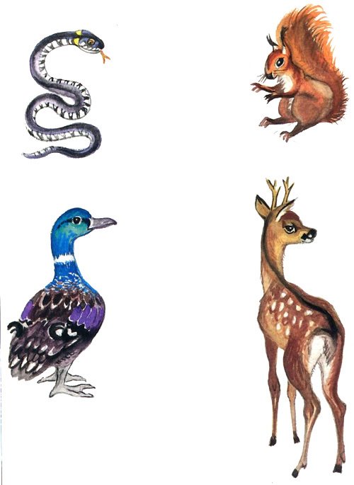 Засыпайка в рыбацкой деревне - i_055.jpg