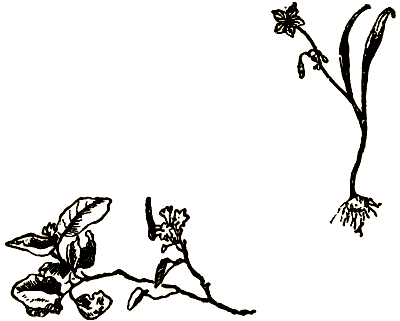 Маленькие дикари (Рисунки автора) - i_008.png