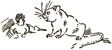 Маленькие дикари (Рисунки автора) - i_059.png