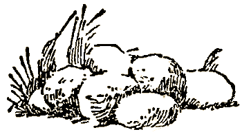 Маленькие дикари (Рисунки автора) - i_087.png