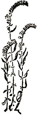 Маленькие дикари (Рисунки автора) - i_088.png