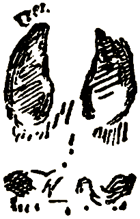 Маленькие дикари (Рисунки автора) - i_094.png