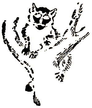 Маленькие дикари (Рисунки автора) - i_105.png