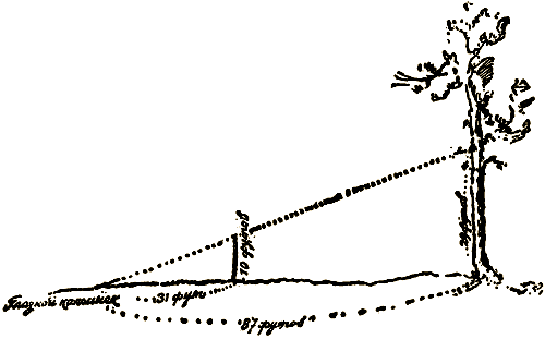 Маленькие дикари (Рисунки автора) - i_123.png