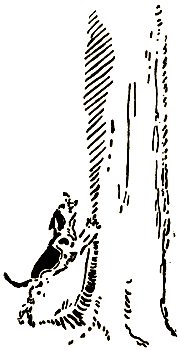 Маленькие дикари (Рисунки автора) - i_126.png