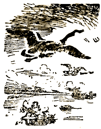 Маленькие дикари (Рисунки автора) - i_133.png