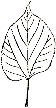 Маленькие дикари (Рисунки автора) - i_135.png