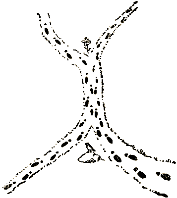 Маленькие дикари (Рисунки автора) - i_139.png