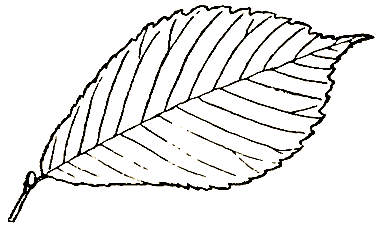 Маленькие дикари (Рисунки автора) - i_144.png