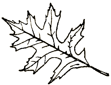 Маленькие дикари (Рисунки автора) - i_147.png