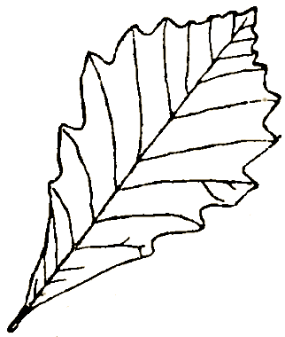 Маленькие дикари (Рисунки автора) - i_148.png