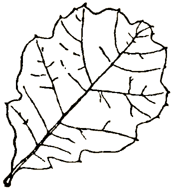 Маленькие дикари (Рисунки автора) - i_149.png