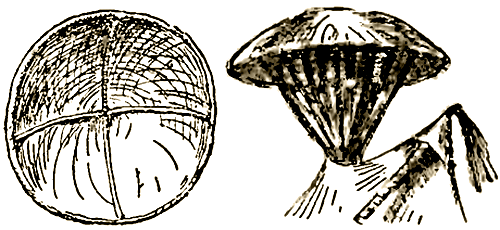 Маленькие дикари (Рисунки автора) - i_151.png